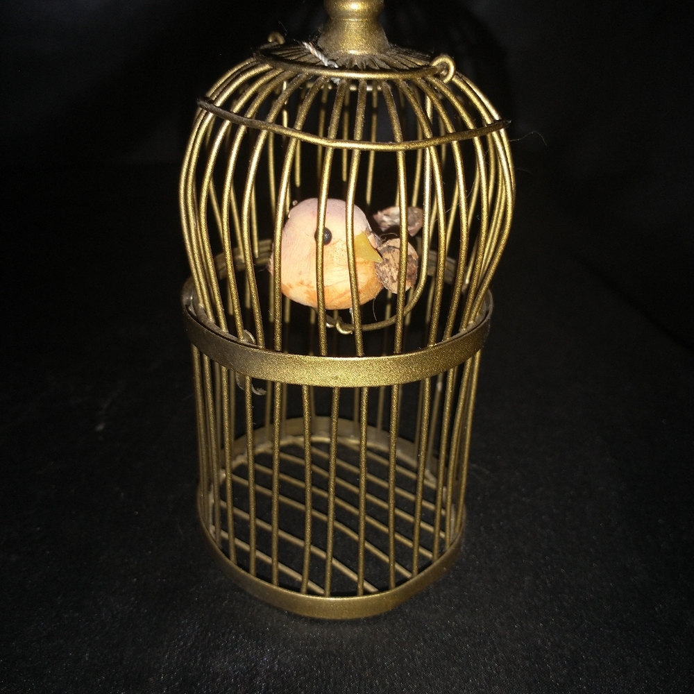 A Tiny Rare Bird in metal cage (Price is firm)